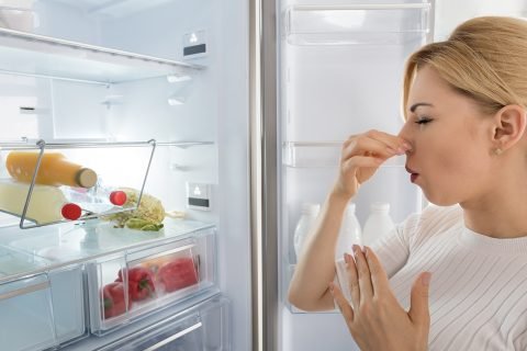 How To Remove Bad Odor From The Fridge