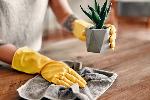 The Best Tools To Clean Dust At Home Faster
