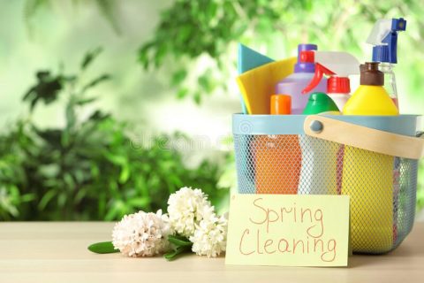 Spring Cleaning: The Ultimate Survival Guide