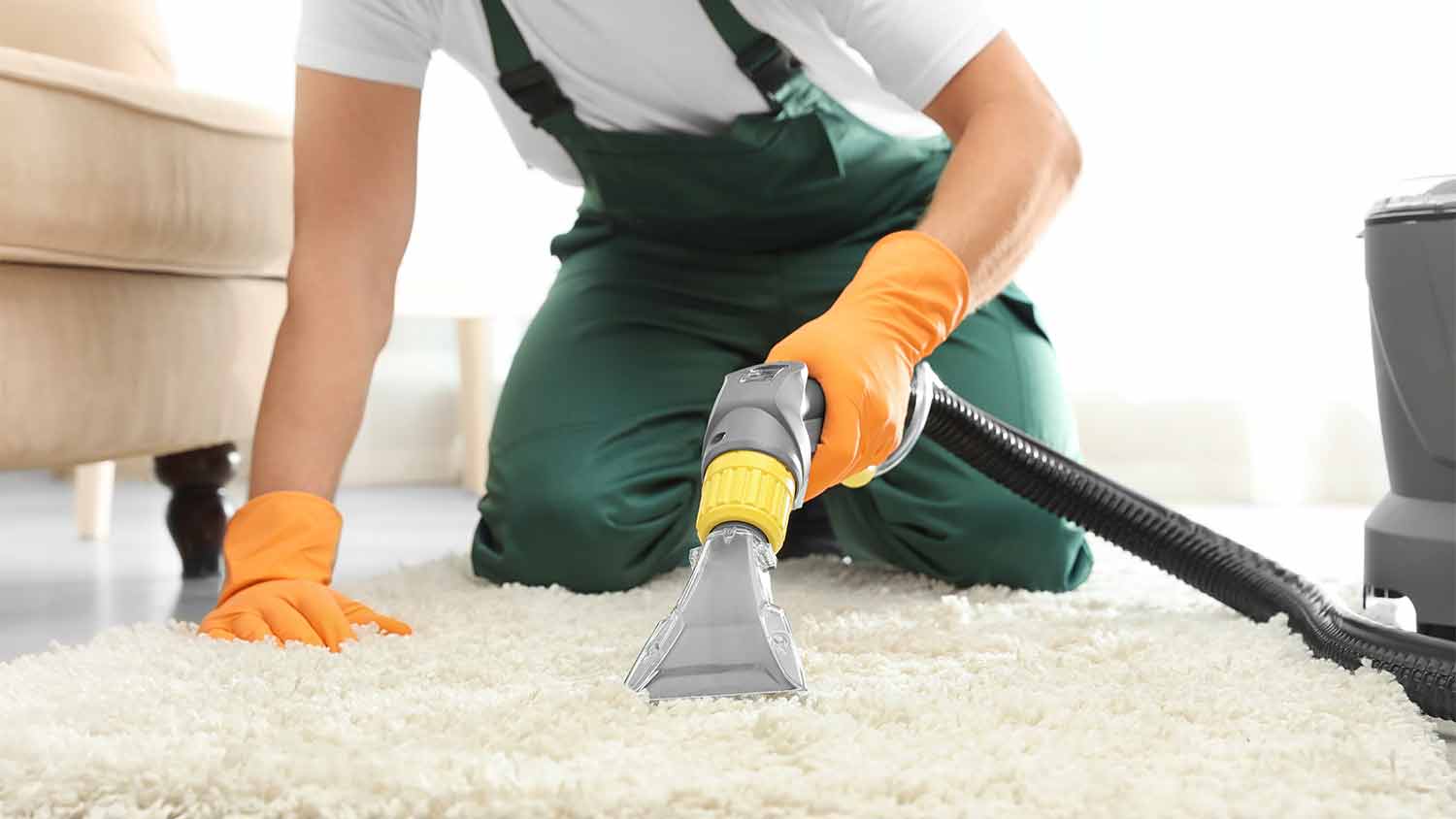 Hiring a Carpet Cleaner - How to Find the Best Carpet Cleaner