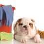 4 BEST Tips to Remove Pet Hair around Every Room!