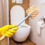 How to Clean a Toilet Brush