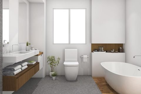 How To Clean Your Toilet