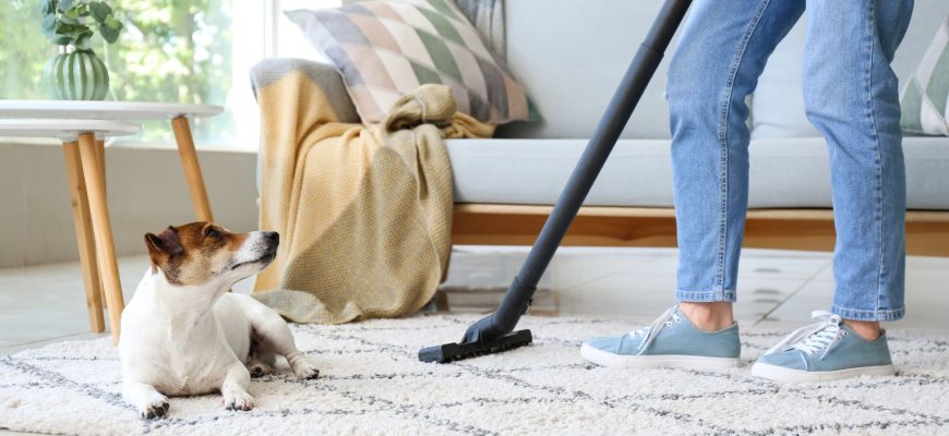 How to Keep Your Home Clean When You Have Pets