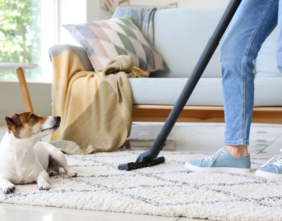 How to Keep Your Home Clean with Pets