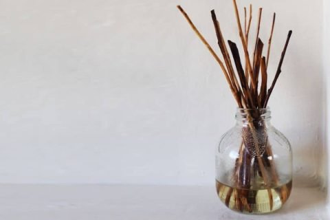 How to Make a Reed Diffuser