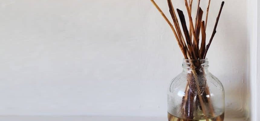 How to Make a Reed Diffuser