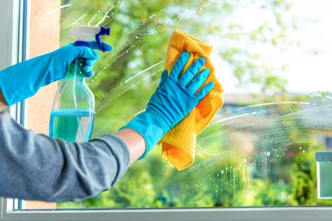 Window Cleaning Tips
