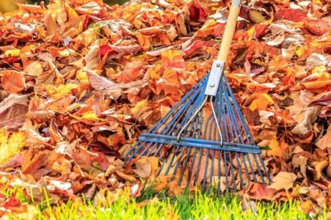 The 2021 FALL Deep Cleaning Survival Guide!