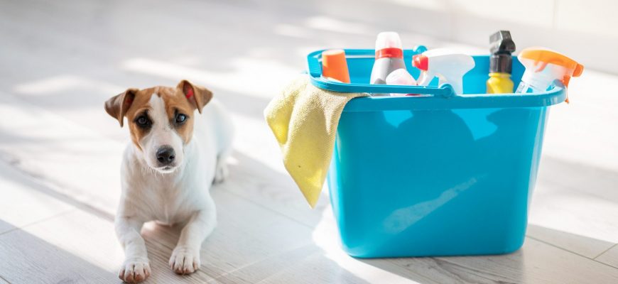 The Benefits Of Using Pet-Safe Cleaning Supplies