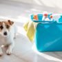 The Benefits Of Using Pet-Safe Cleaning Supplies