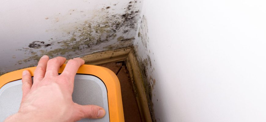 Hidden Dirt and Allergens You Might Be Overlooking