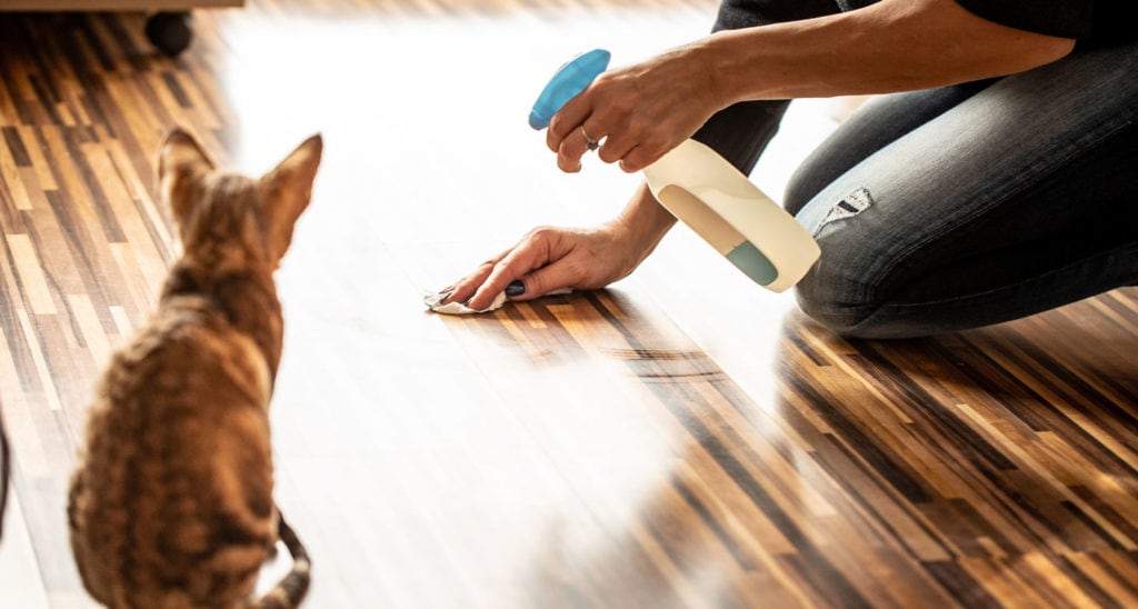 Keeping Your Pets Safe Around Cleaning Products During Coronavirus | BeChewy