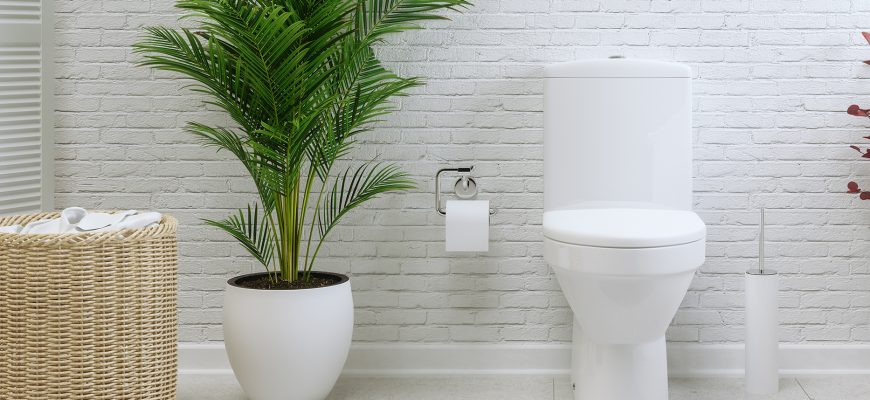 How to Clean a Toilet with Safe Ingredients