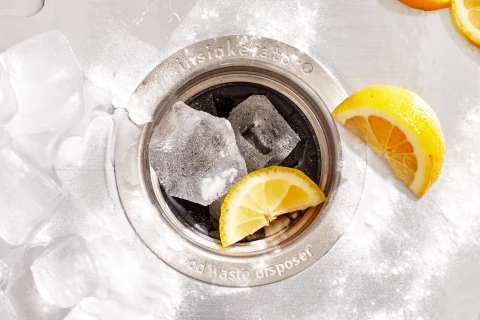 DIY Lemon Garbage Disposal Cleaner